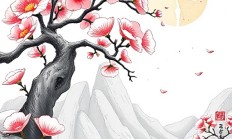 Snipaste贴图怎么添加投影效果？