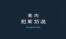 如何用Snagit创建截图测试用例？