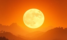 截图后如何添加边框和阴影效果？