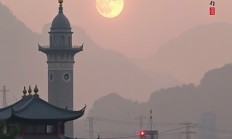 截图软件如何识别手语动作？有哪些方法和工具？