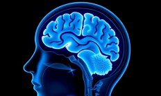 怎么用Snipaste标注MRI影像？