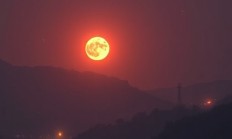 截图软件如何准确识别联系人信息？