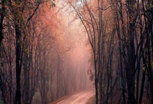 如何在截图软件中为截图添加对比度效果?