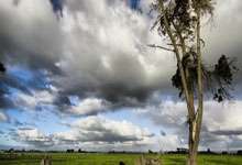 Snipaste截图后贴图怎么进行缩放操作?