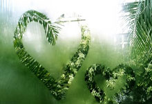 Snipaste截图后贴图怎么进行缩放操作?