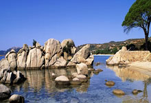 如何用Snipaste制作解剖示意图的详细步骤是什么？