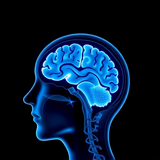 怎么用Snipaste标注MRI影像? 怎么用Snipaste标注MRI影像?